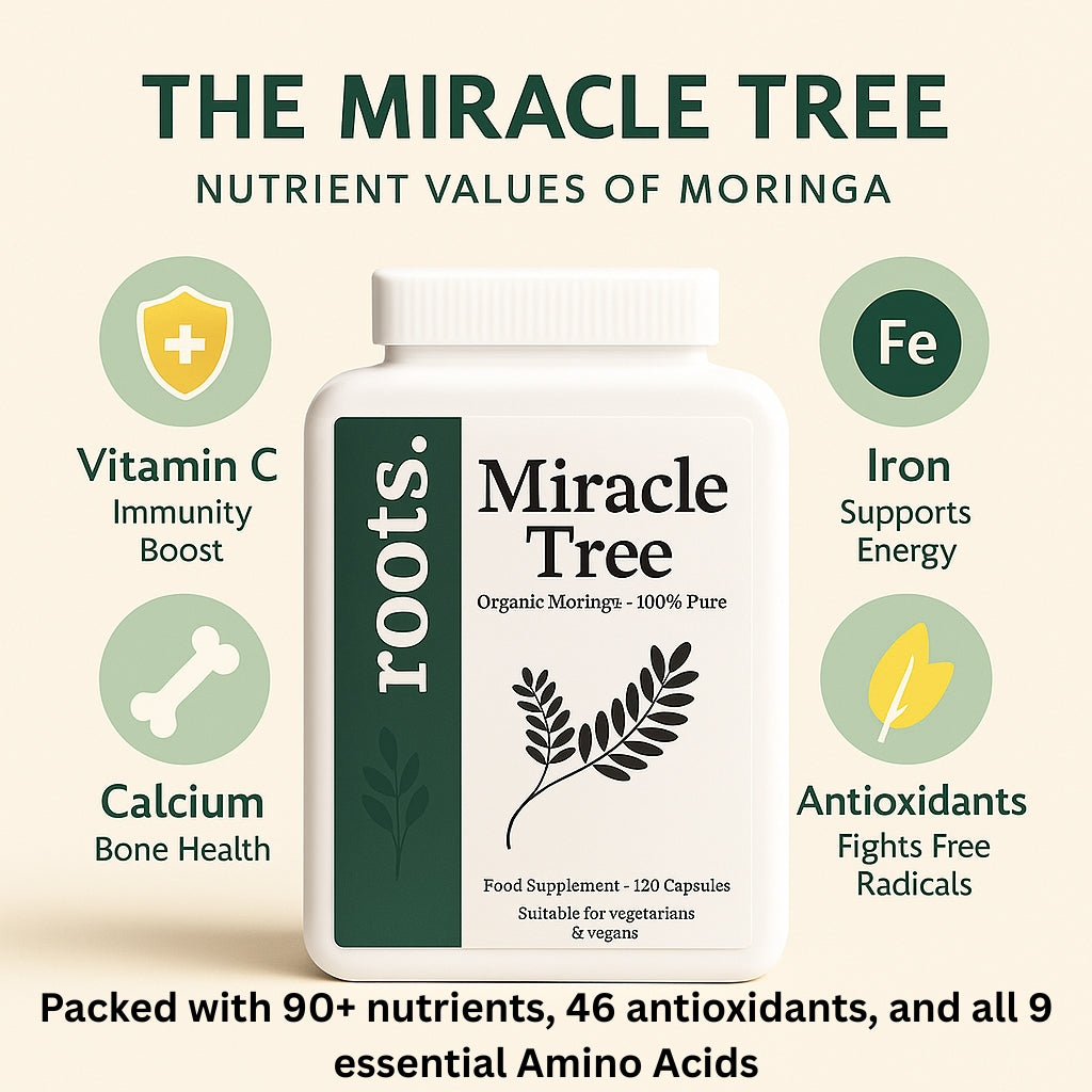 Infographic of Miracle Tree Moringa supplement bottle surrounded by icons and labels of key nutrients like Vitamin C, Iron, Calcium, and Antioxidants, showcasing the supplement’s complete nutrient profile.